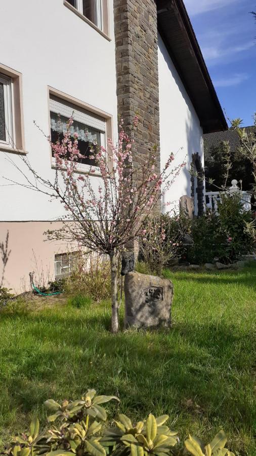 Im Vulkanland Fewo Bis 6 Personen Ettringen  Exterior foto